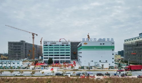 茶里集团南沙总部落成，推动高端袋泡茶标准化、工业化与科技化进程