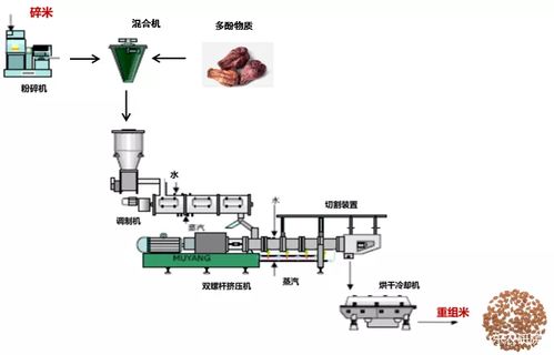 慢消化淀粉健康食品加工技术开发与研究成果