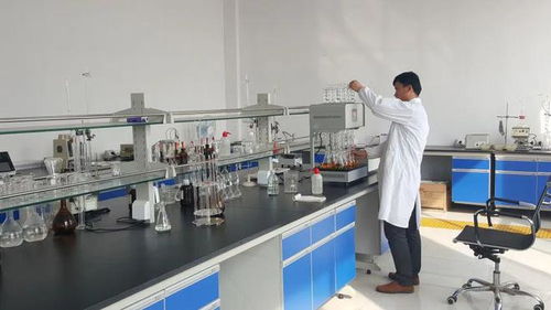 东营港经济开发区 以企业技术改造为抓手，驱动产业转型升级与技术开发新突破